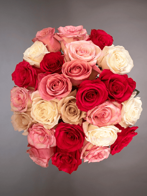 Hot Pink Deluxe Roses