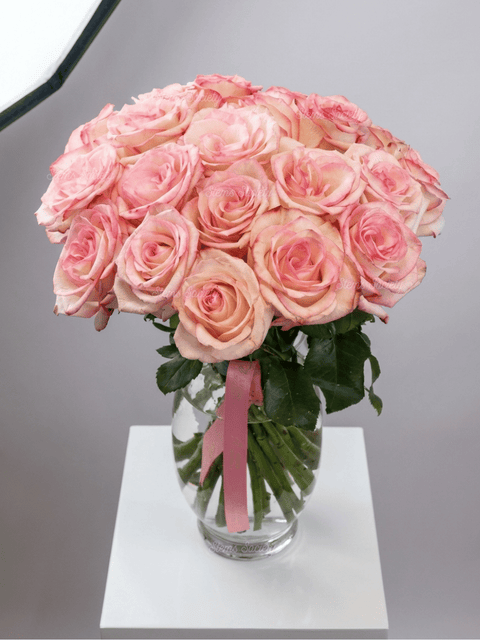 Super Light Pink Roses