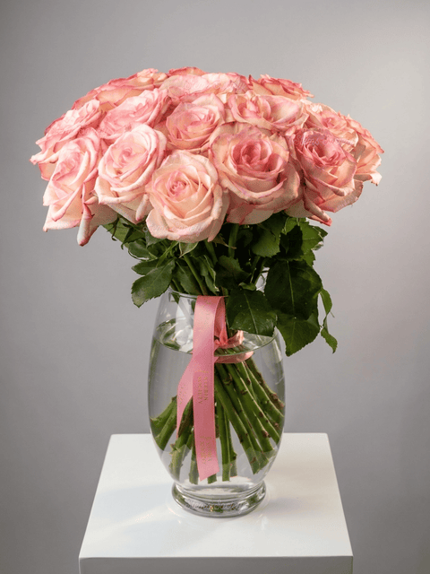 Super Light Pink Roses