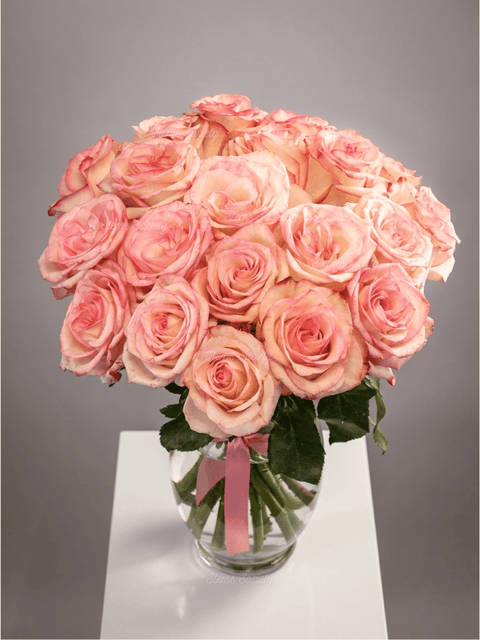Super Light Pink Roses