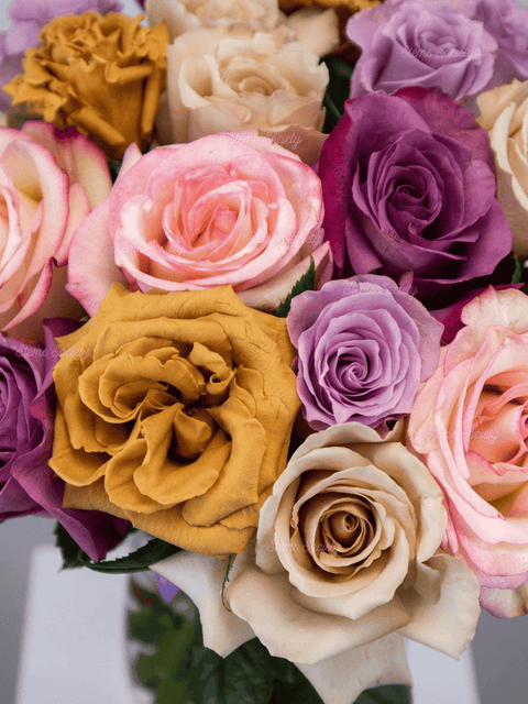 Cappadocia Roses