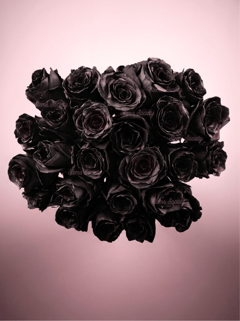 Black Roses