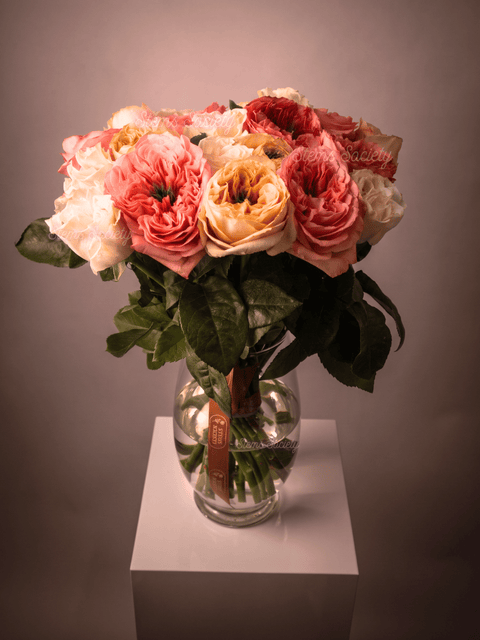 Garden Pink & Melon Roses