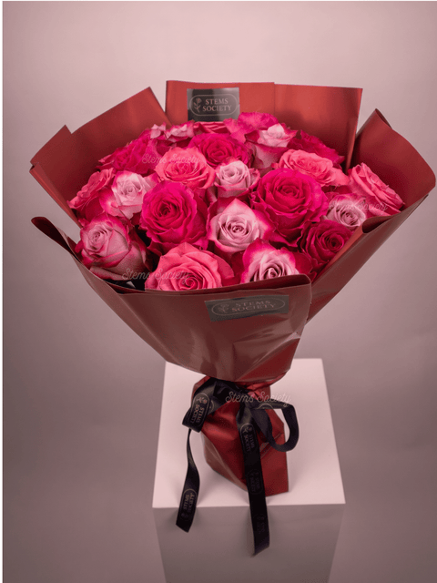 Fuchsia Roses