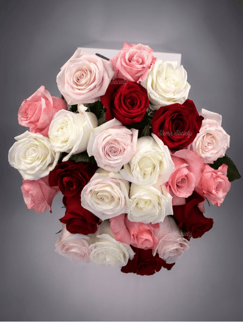 Red Deluxe Roses
