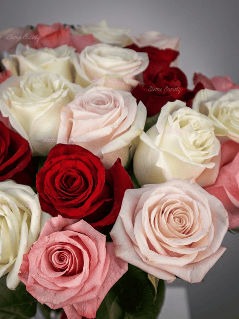 Red Deluxe Roses