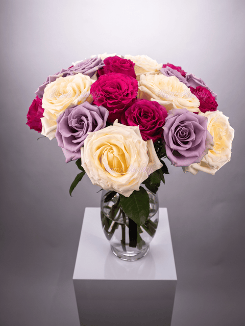 Palette #3 Roses