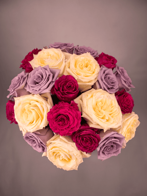 Palette #3 Roses