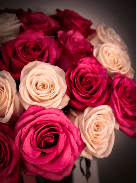 Raspberry Roses