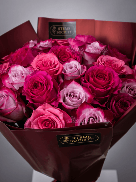 Fuchsia Roses