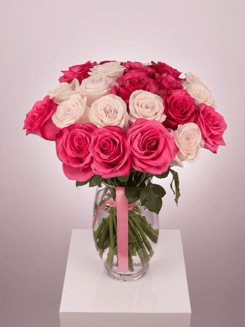 Raspberry Roses