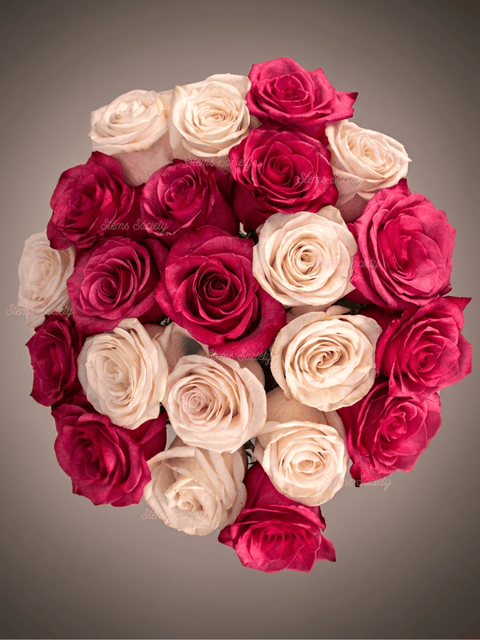 Raspberry Roses