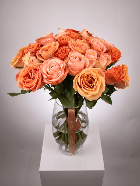 Peach Deluxe Roses