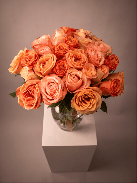 Peach Deluxe Roses