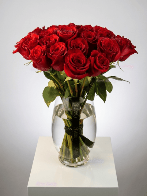 Red Roses