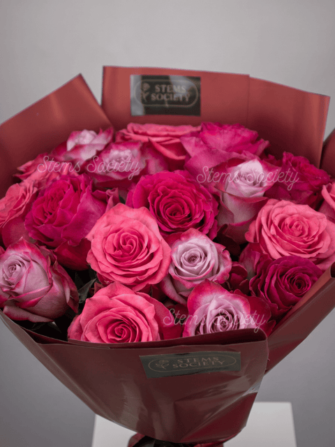 Fuchsia Roses