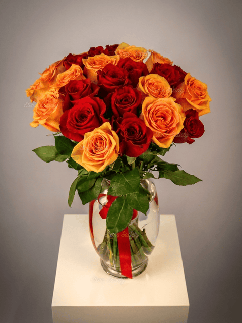 Red & Peach Roses