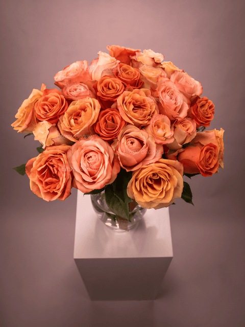 Peach Deluxe Roses
