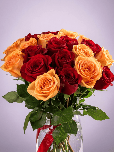 Red & Peach Roses