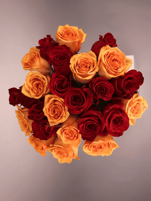 Red & Peach Roses