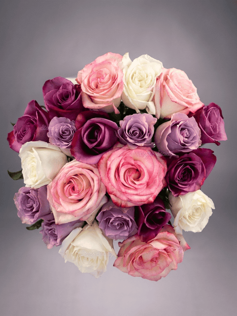 Purple Deluxe Roses