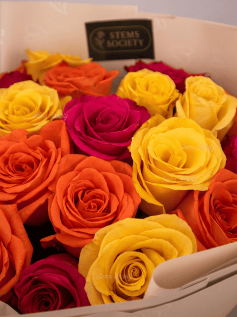 Candy Roses
