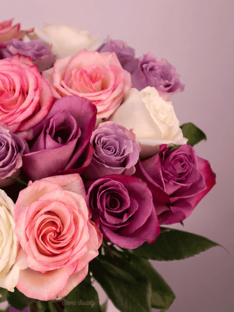 Purple Deluxe Roses