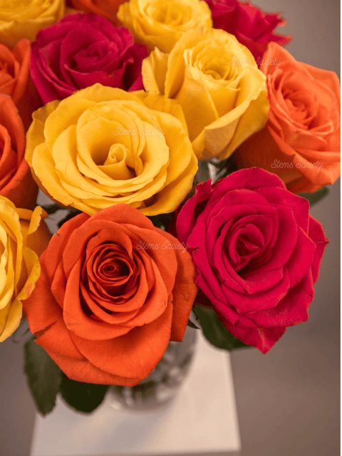 Candy Roses