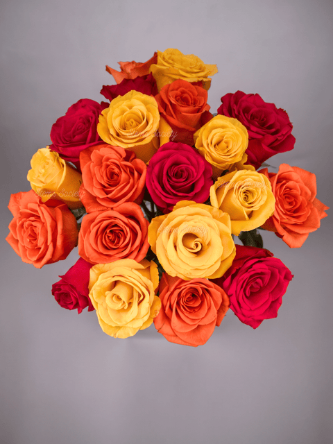 Candy Roses