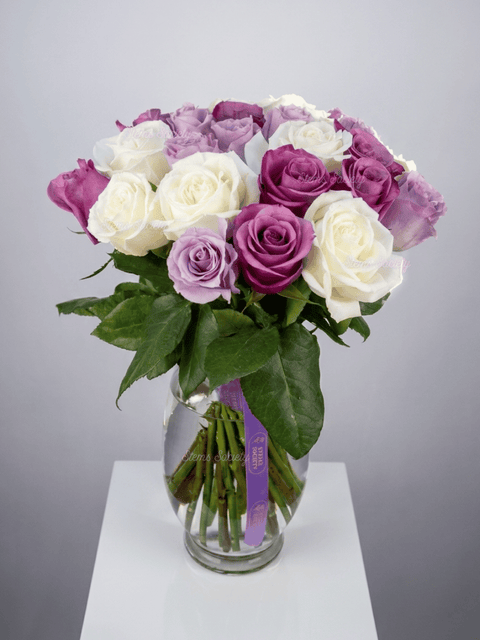 Purple Tones Roses