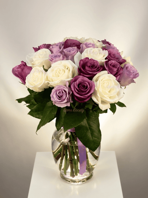 Purple Tones Roses