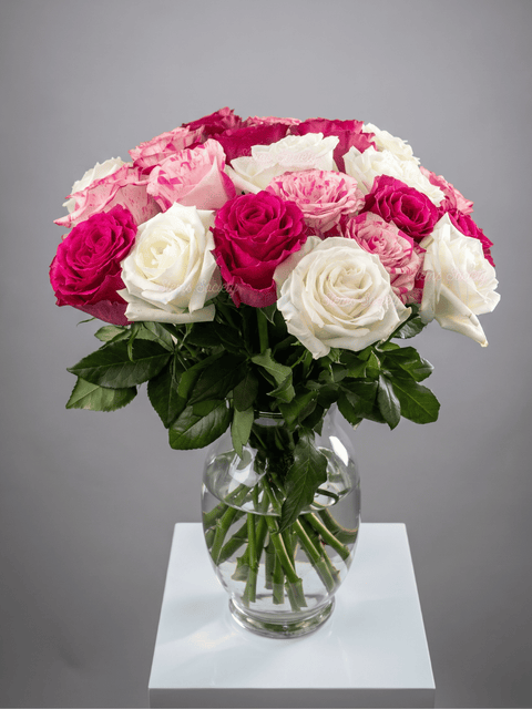 Wine Roses