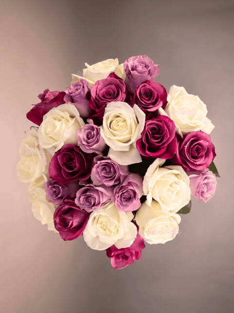Purple Tones Roses