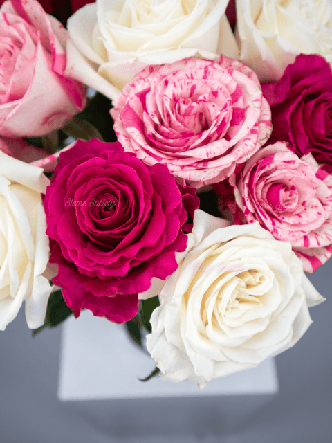 Wine Roses
