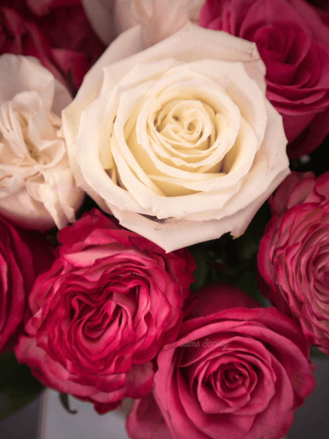 Decanter Roses