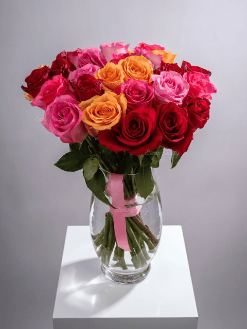 Cherry Roses