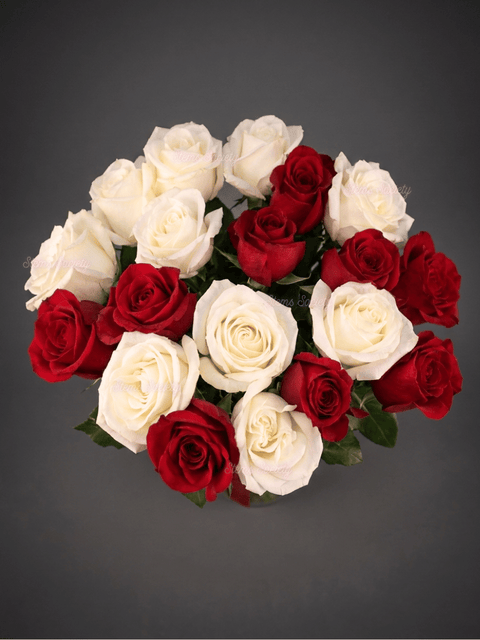 Red & White Roses