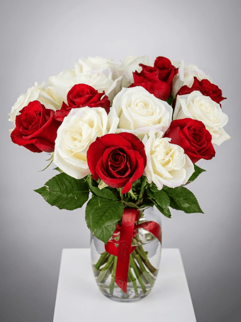 Red & White Roses