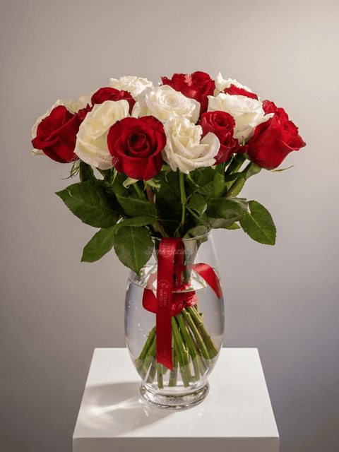 Red & White Roses