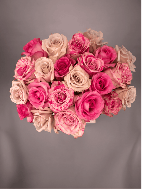 Princess Roses