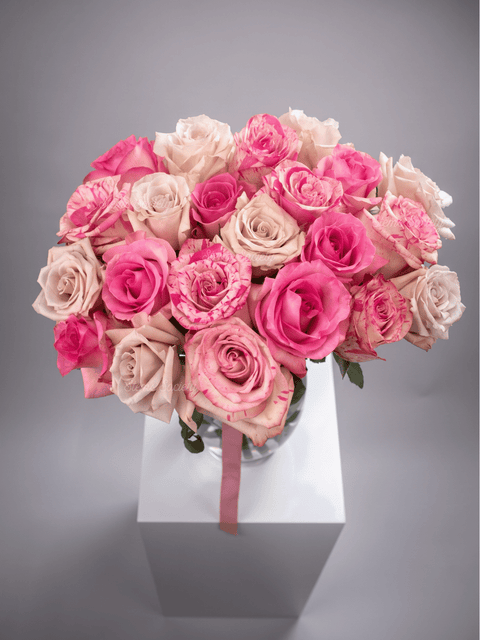 Princess Roses