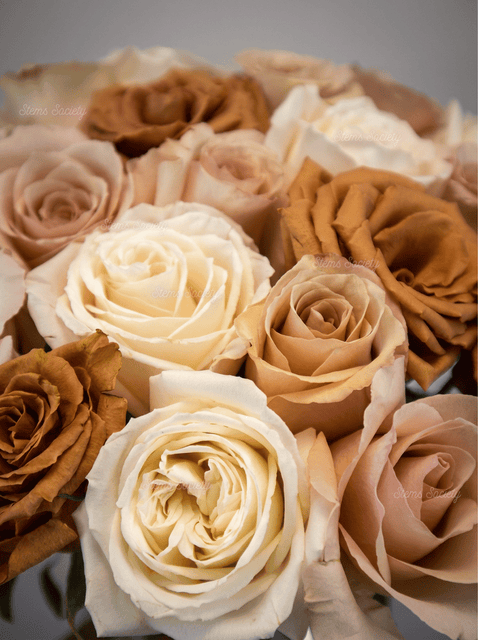 Coffee Deluxe Roses
