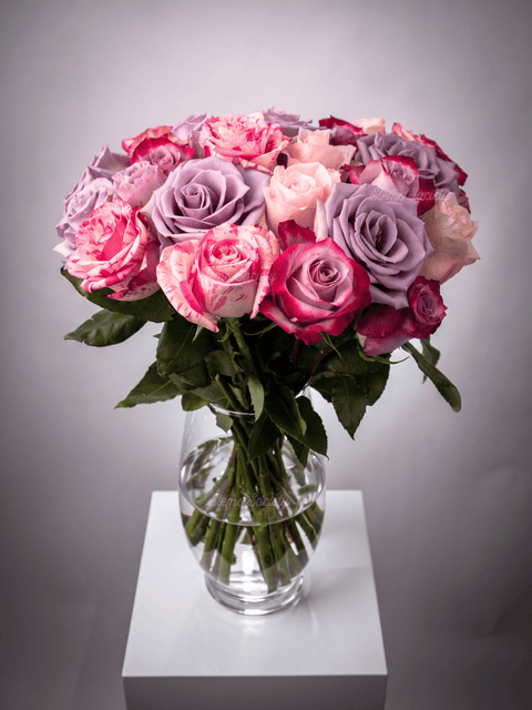Lavender Deluxe Roses