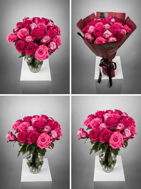 Fuchsia Roses